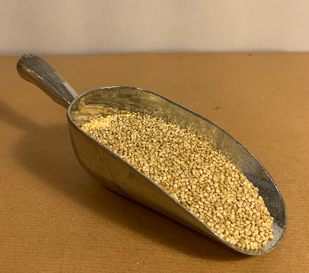 Quinoa Blanche  (kg)