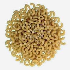 Pâtes coquilettes  (kg)