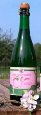 Cidre Saint-Vincent - Brut de Reinettes  (* 75cℓ)