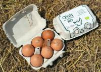 Oeufs frais de paturage  (* 6pcs)